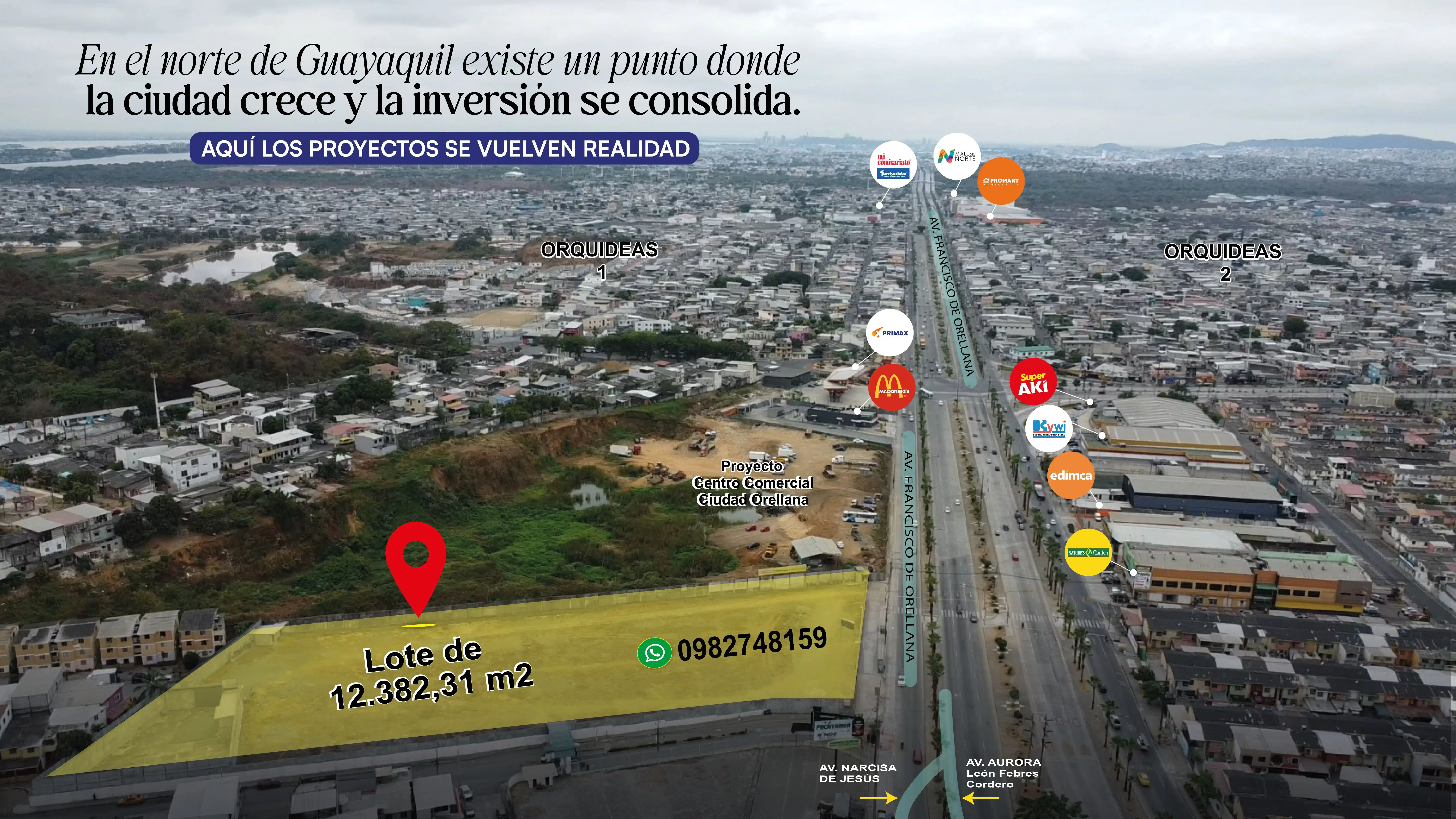 Detalle del terreno preparado